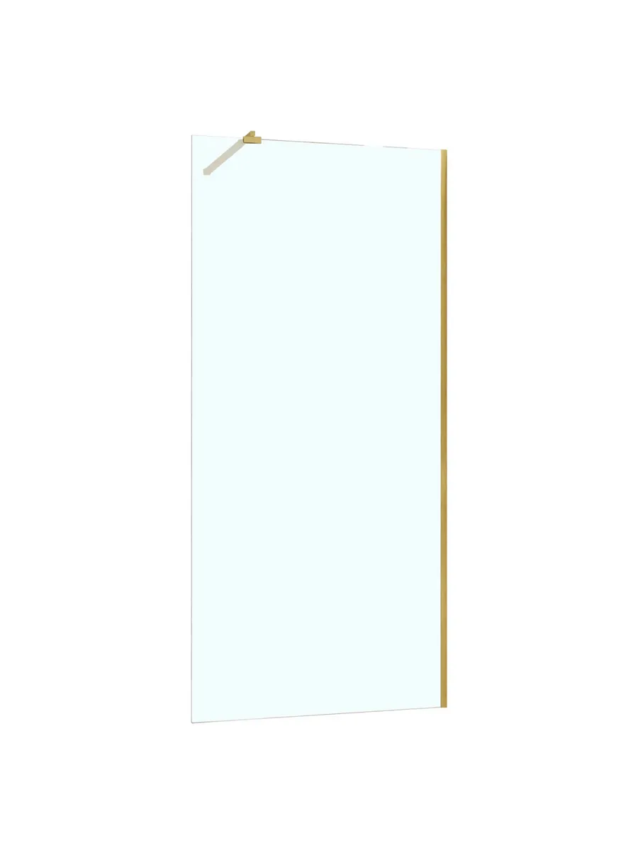 Душевая перегородка Walk-in 100x195 AZ-251-100-BGL-CL